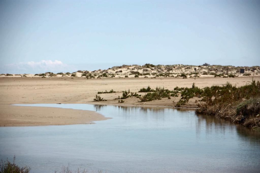 Mi Apartamento En El Delta Del Ebro Deltebre Exterior photo