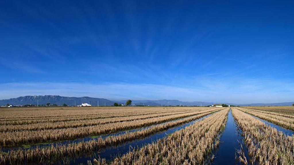 Mi Apartamento En El Delta Del Ebro Deltebre Exterior photo