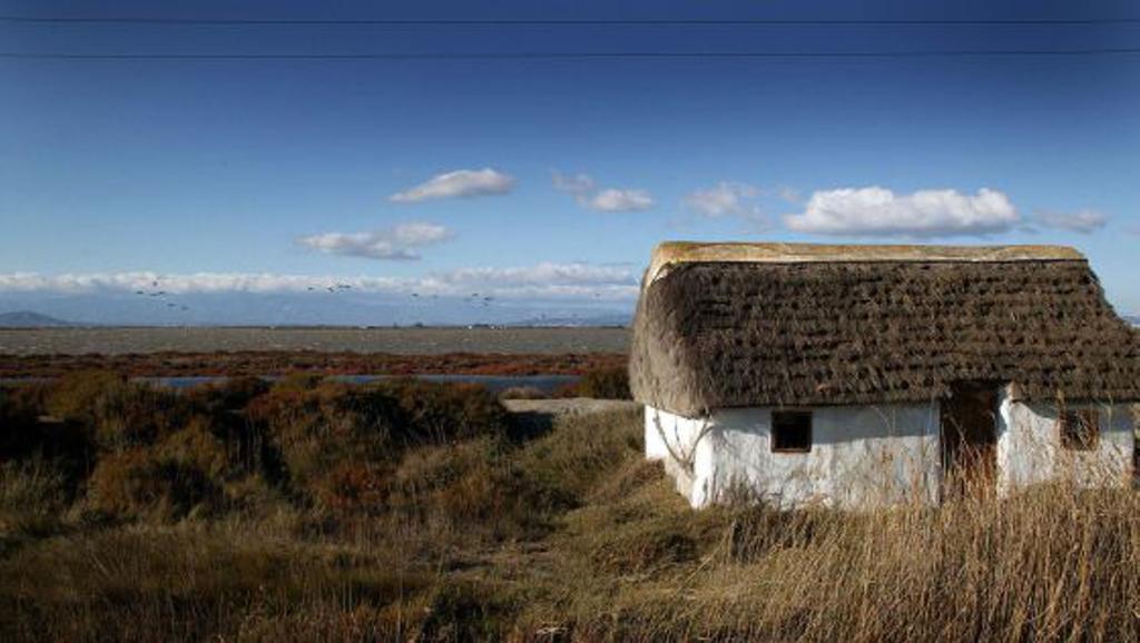 Mi Apartamento En El Delta Del Ebro Deltebre Exterior photo